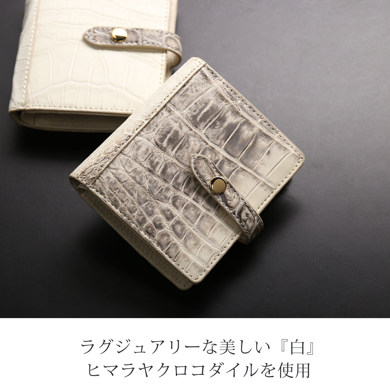 sankyo shokai（三京商会） [10%offクーポン]ヒマラヤ クロコダイル