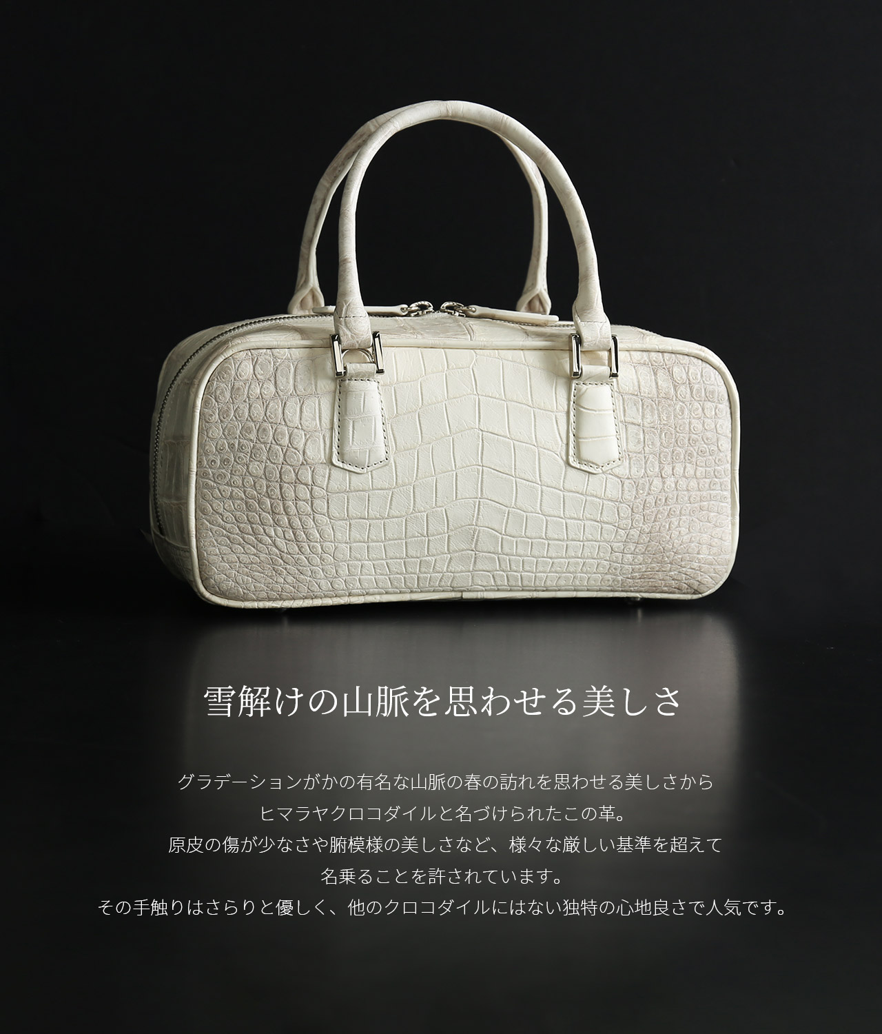 sankyo shokai（三京商会） ［期間限定価格］ヒマラヤクロコダイル