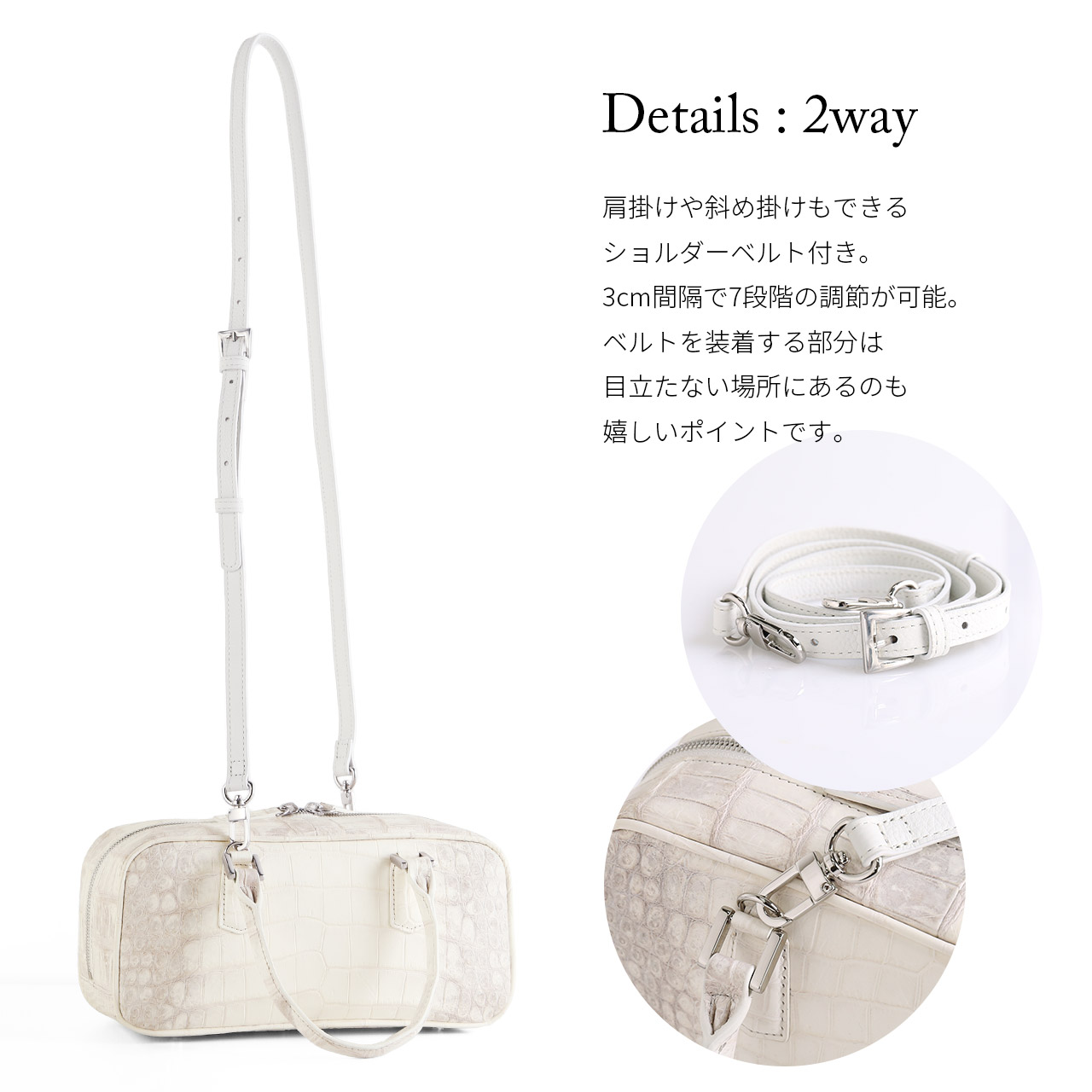 sankyo shokai（三京商会） ［期間限定価格］ヒマラヤクロコダイル