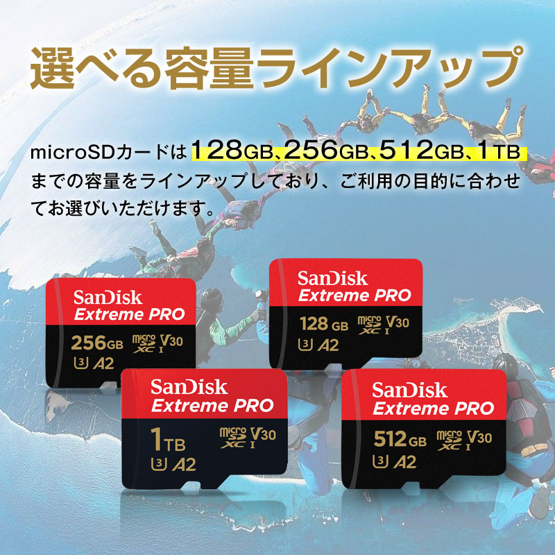 SanDisk（サンディスク） マイクロsdカード microSDXC 1TB SanDisk V30