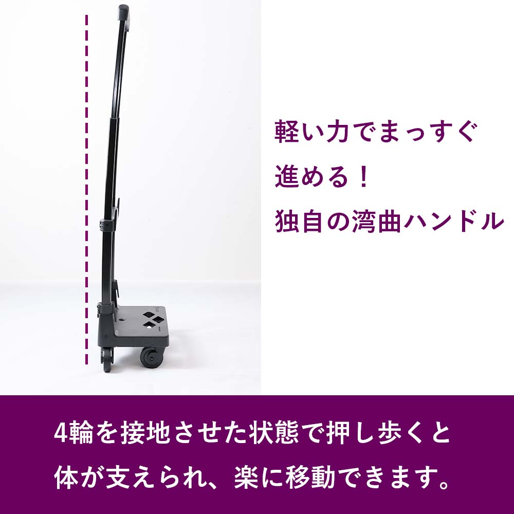 スワニー キャリーバッグ SWANY タルタン M18 Mサイズ シルバー