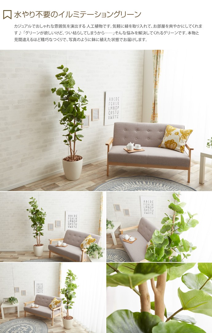 観葉植物 シーグレープ sea grape 室内 イミテーショングリーン : 家具