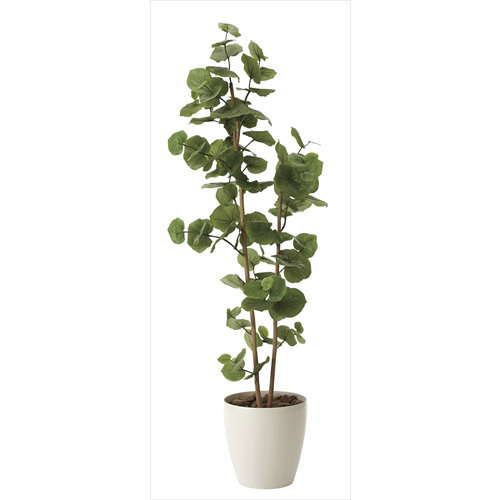 観葉植物 シーグレープ sea grape 室内 イミテーショングリーン : 家具