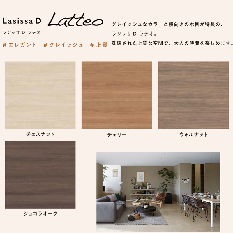 ラシッサ ラシッサDヴィンティア アウトセット片引戸標準タイプ LAA