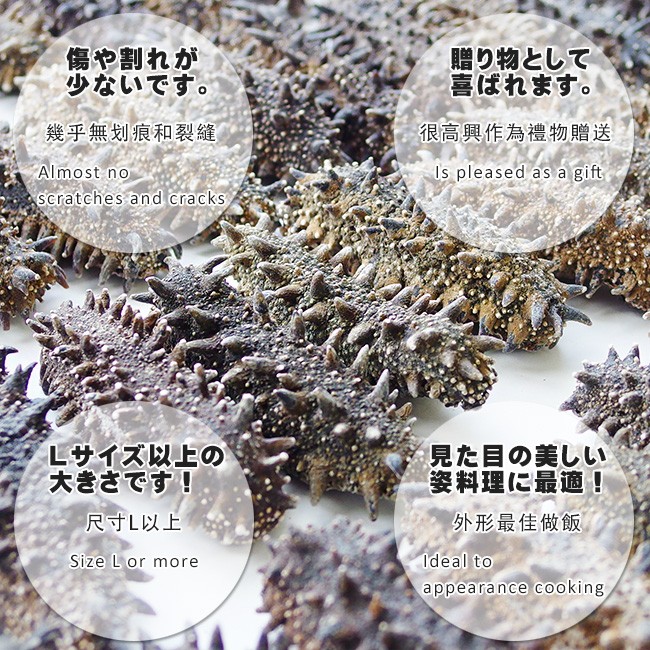 乾燥ナマコ 特A級品 100g Lサイズ以上 (特Aランク) 北海道産乾燥なまこ