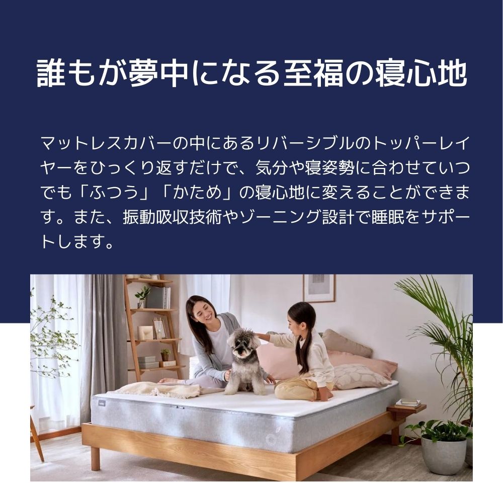 クイーンベッド⭐︎収納付き⭐︎ニトリ&コアラマットレス付き