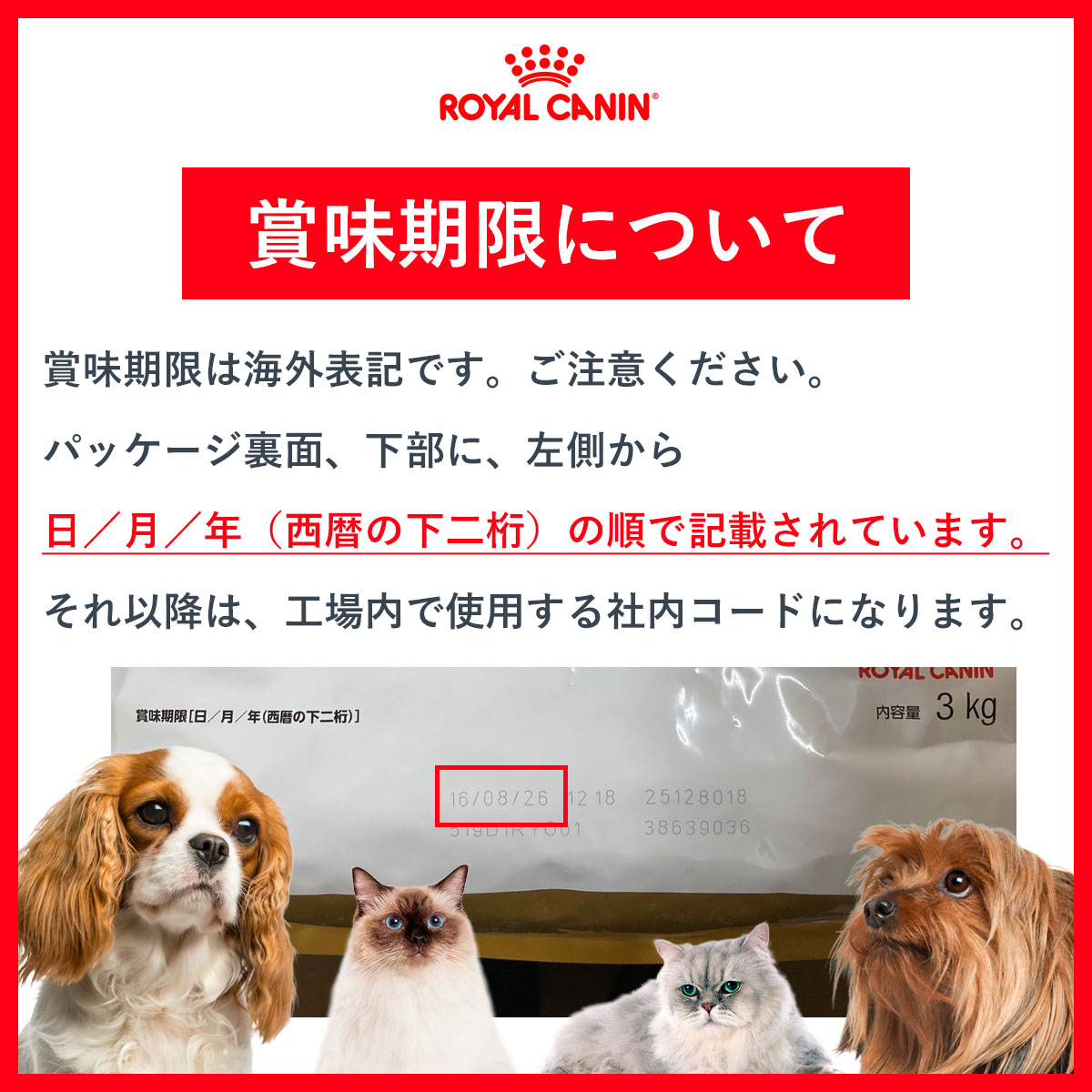 ロイヤルカナン（ROYAL CANIN） 犬 ドッグフード ミニ インドア パピー
