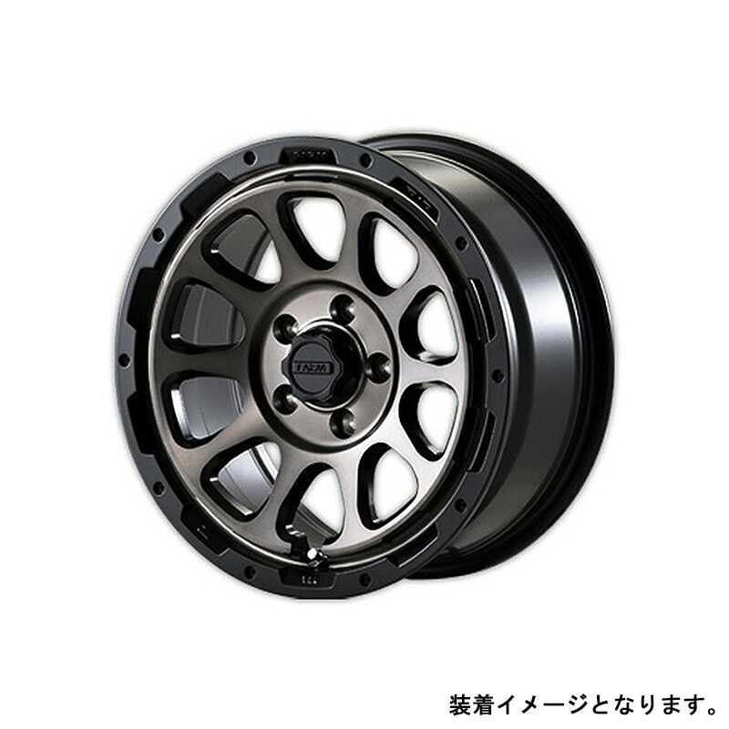 FARM D10 ファームディーテン マットブラック/DCティントディスク 16