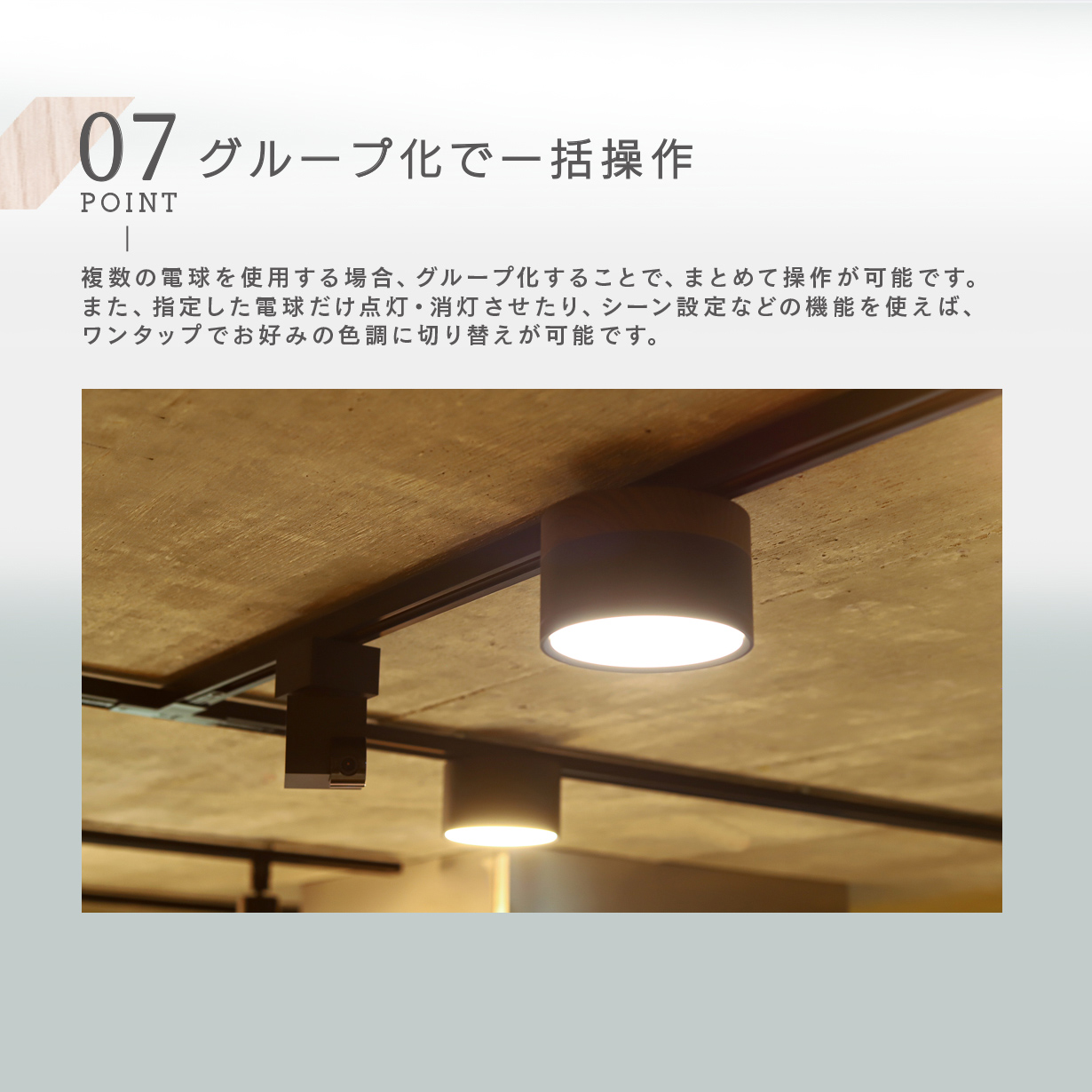 Edison Smart（エジソンスマート） ミニシーリングライト ウッド調