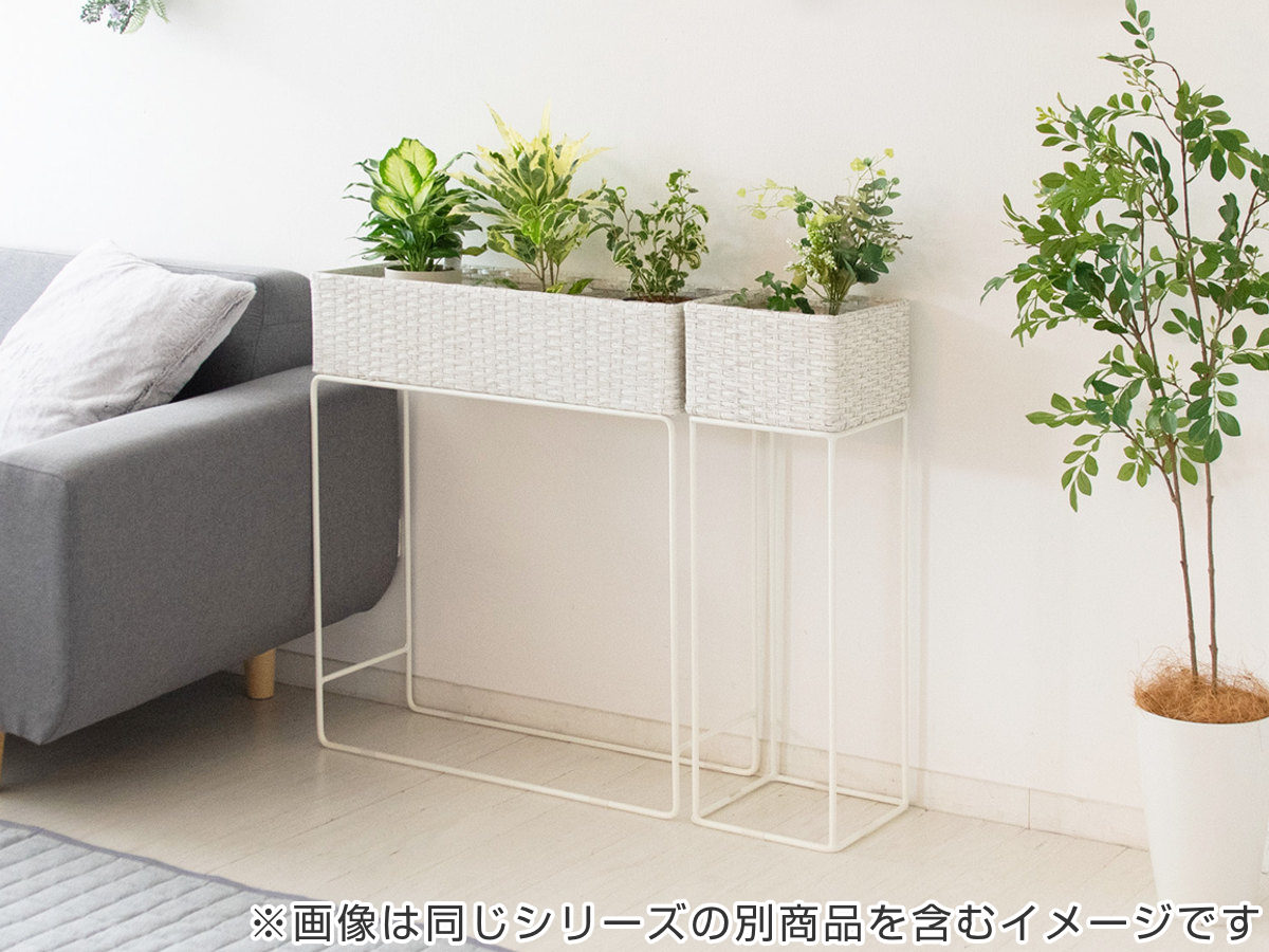 宮武製作所 プランタースタンド ラタン調 スチールフレーム 幅60cm