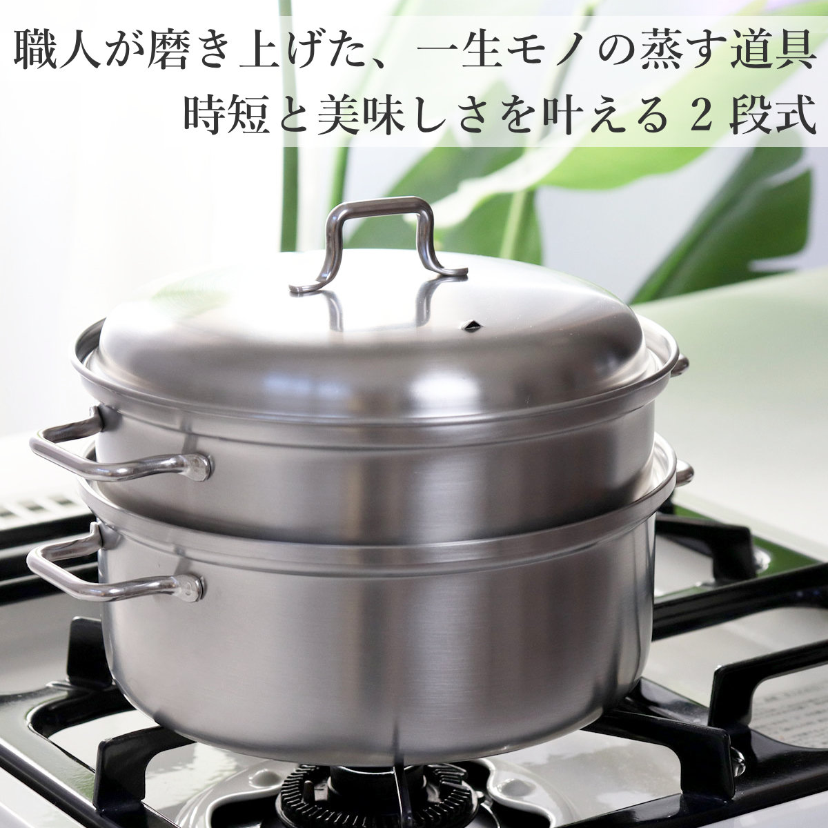 工房アイザワ 特典付き ブラックピーマン 200V スチーマー 20cm