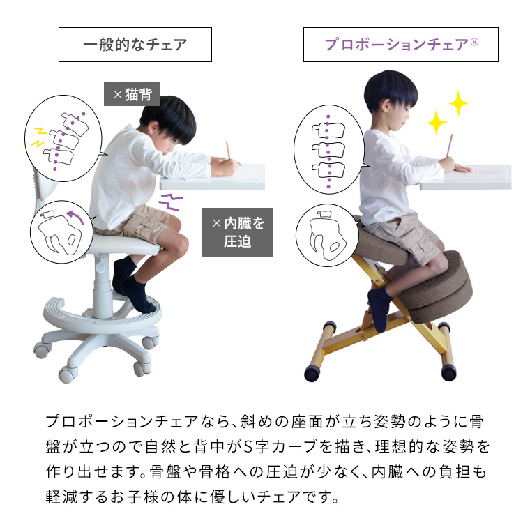 宮武製作所 プロポーションチェア バランスチェア 姿勢矯正 骨盤矯正