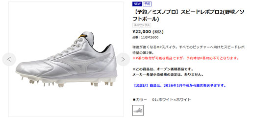 Mizuno Pro 即納可☆ 【MIZUNO PRO】ミズノ 【ミズノプロ】スピード