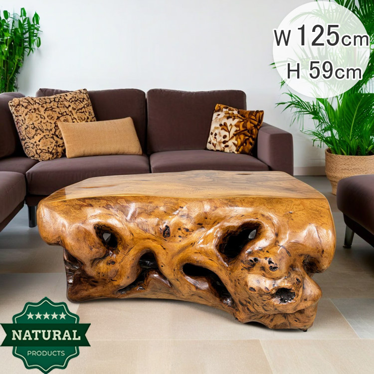 展示品 希少 楠 テーブル 大きい 豪華 座卓 低い 天然 木 クスノキ