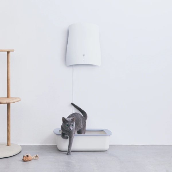 購入特典バッグ・スプレープレゼント】 サンスター QAIS-air- 04A1J