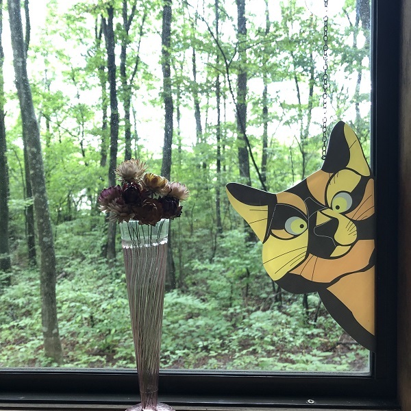 送料無料 のぞき ネコ キャット プレート ウォール フレーム 壁飾り