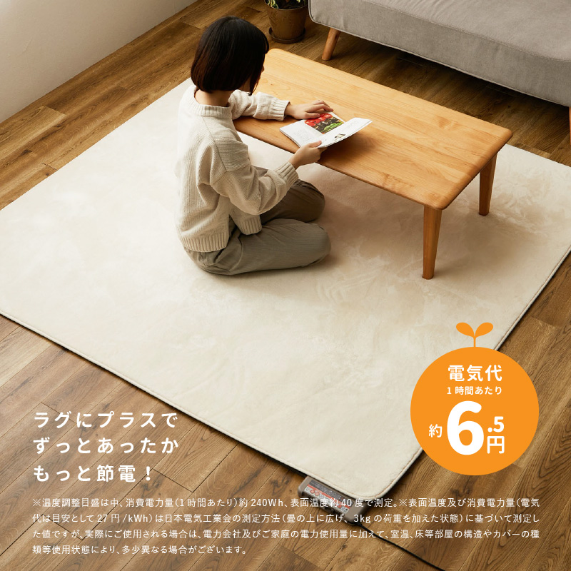 ホットカーペット 本体 3畳 195×235cm 日本製 暖房面切り替え 6時間