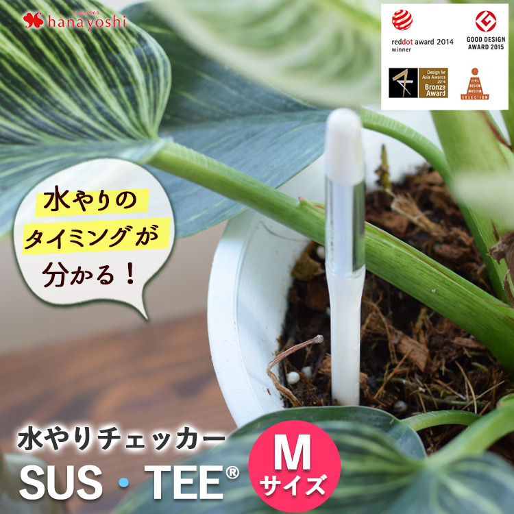 サスティー Mのみの購入はできません※【お花にプラスワン】水やり