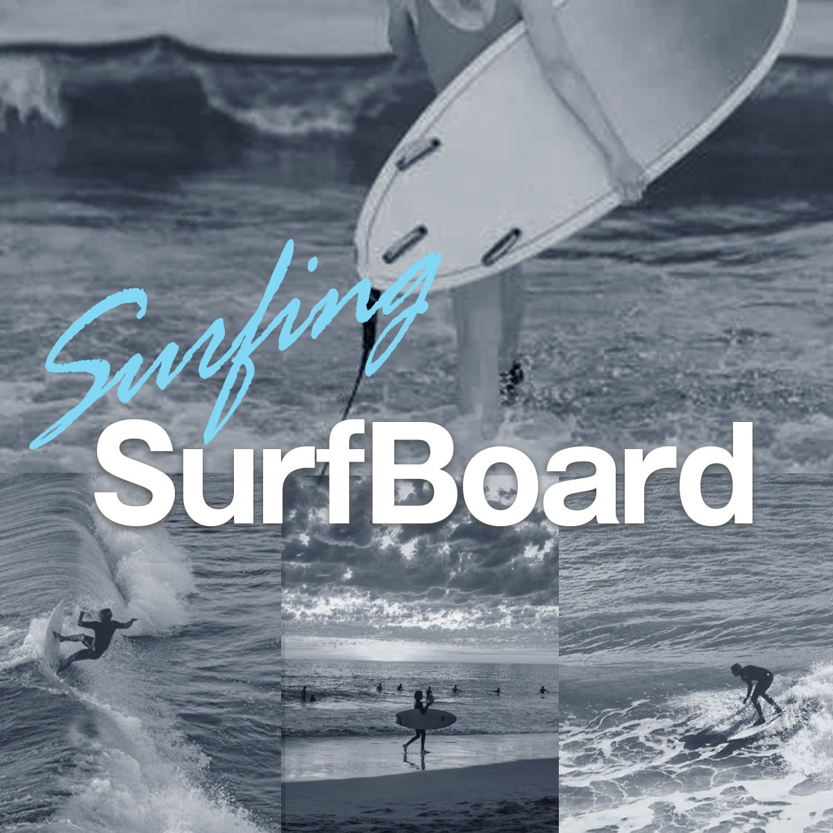 SCELLセル サーフィン サーフボード ファンボード ミッドレングス 6'6