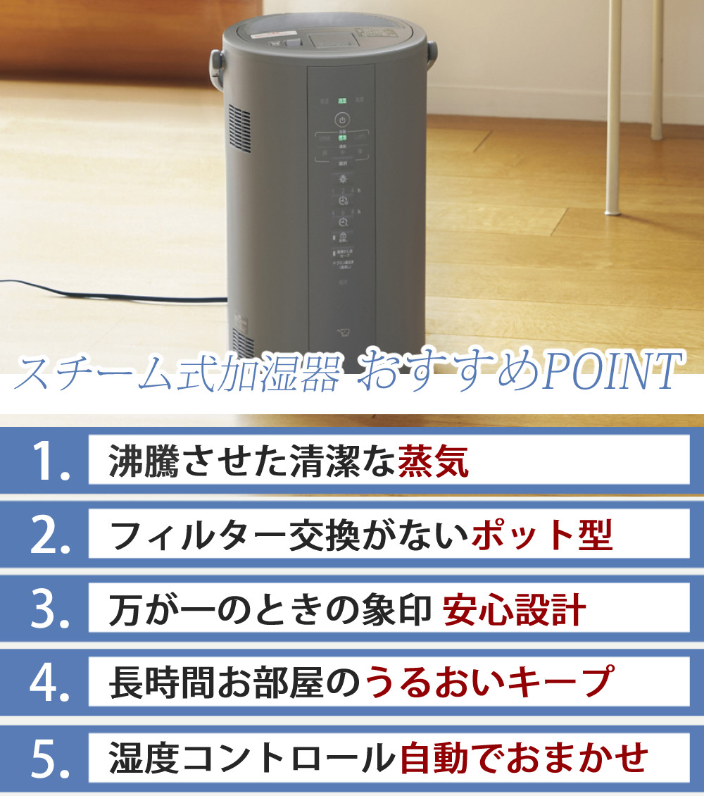 象印（ZOJIRUSHI） 加湿器 スチーム式加湿器 3.0L EE-DF35 グレー