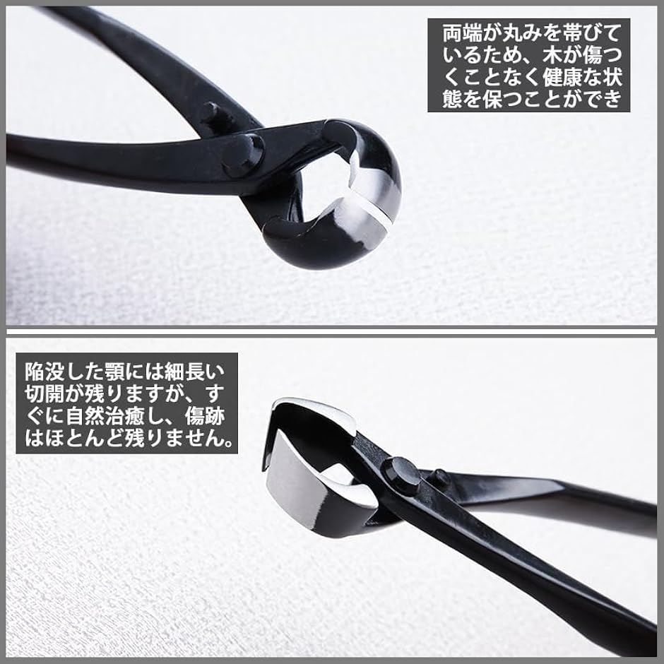 丸刃コブ切鋏 又枝切鋏 2本セット ノブカッター こぶ切り鋏 園芸用