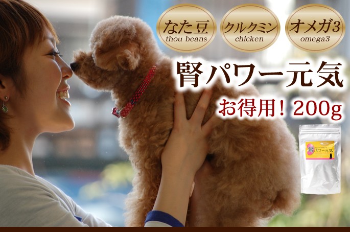 帝塚山ハウンドカム 犬 ペット サプリメント 腎臓 サポート 腎パワー