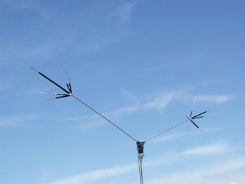 CP6S 第一電波工業 送料無料 3.5/7/14/21/28/50MHz帯 6バンドGP CP-6S