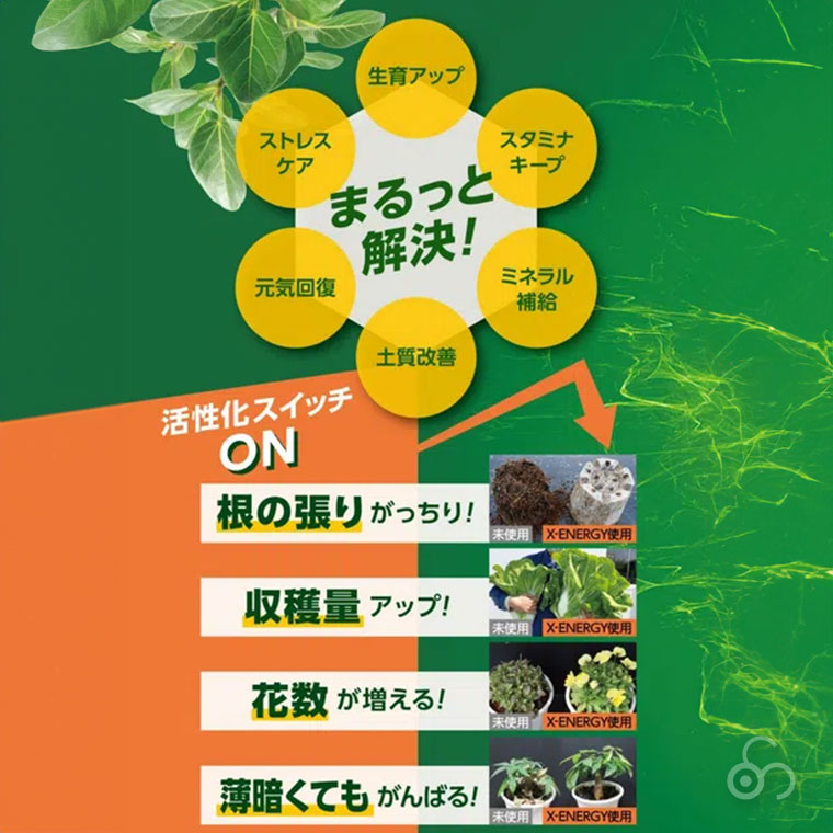 KINCHO園芸 X-ENERGY エックスエナジー 600ml 4975292604778 活力液