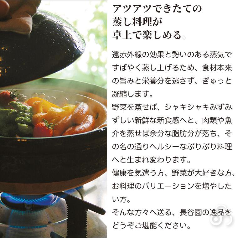 長谷園 蒸し料理用土鍋 伊賀焼 ヘルシー蒸し鍋 黒 大 AZW-18 土鍋 日本