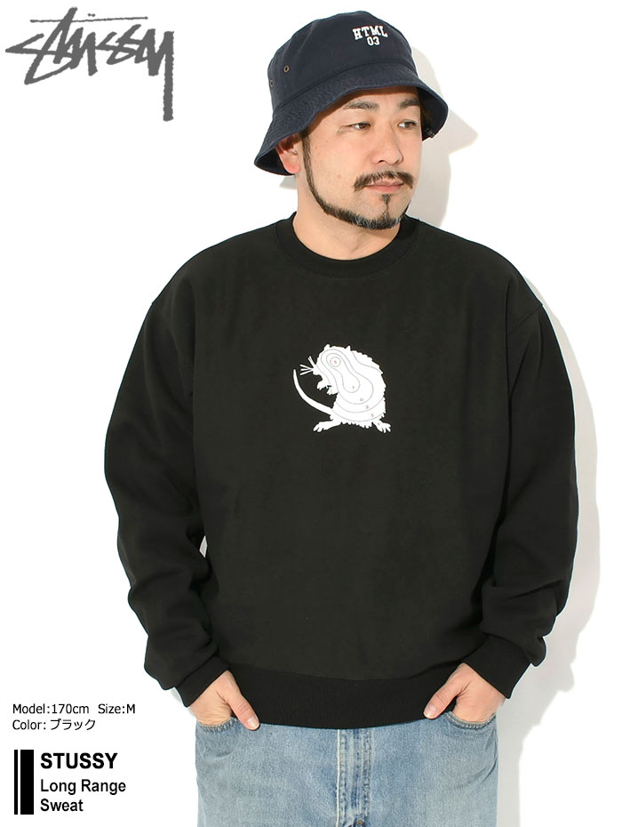 STUSSY（ステューシー） トレーナー メンズ Long Range ( stussy sweat