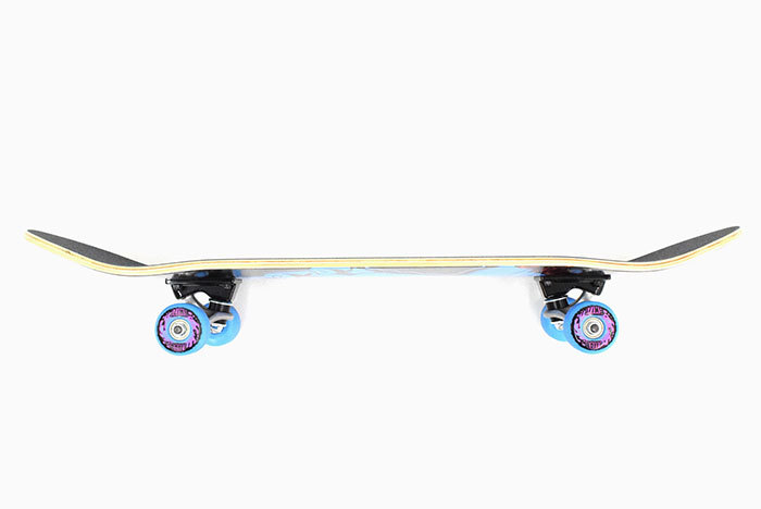 SANTA CRUZ（サンタクルーズ） スケボー スケートボード コンプリート