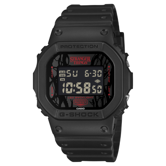 dw-5600stt-1jr-a.jpg