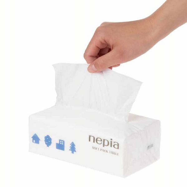 ネピア ティッシュ ティッシュペーパー 240組(480枚) 5パック nepia