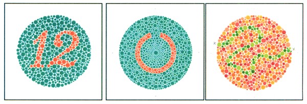 石原式 色覚検査表 II 国際版 38表 HP-1205A : 鈴盛オンラインショップ