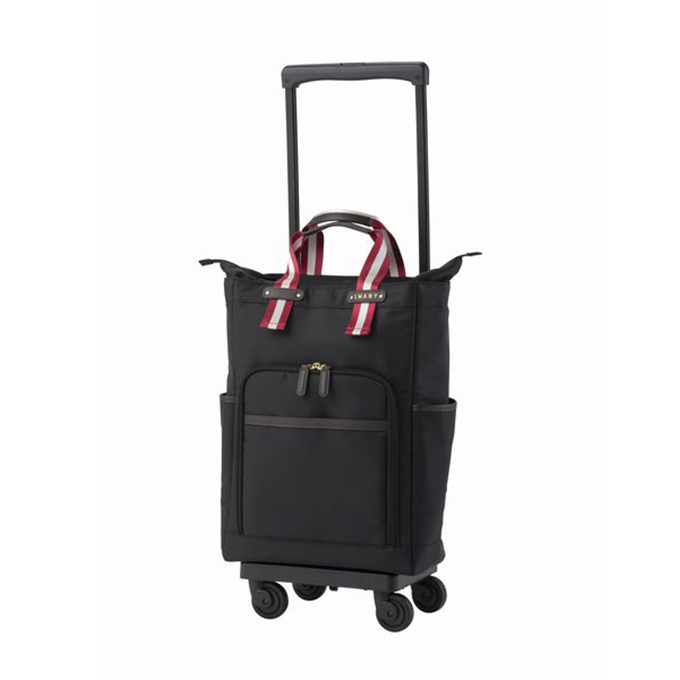 SWANY（スワニー） キャリーバッグ 公式 座れる ショッピングカート