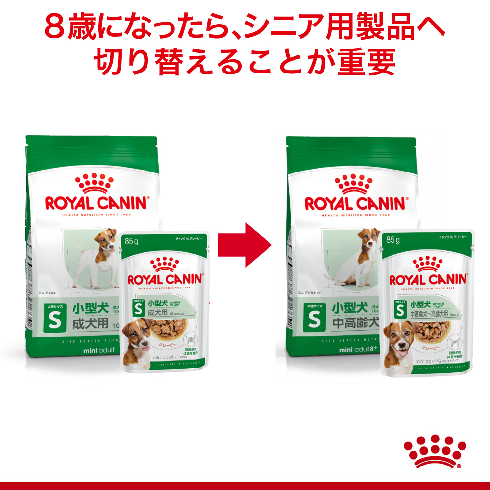 サイズ ヘルス ニュートリション 【85g×48袋】ロイヤルカナン SHN-WET