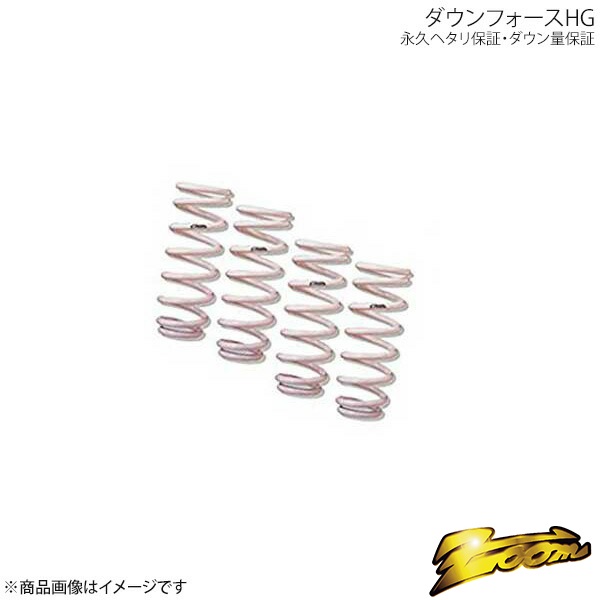 zoom/ズーム ダウンサス ダウンフォースHG 1台分 日産 スカイライン