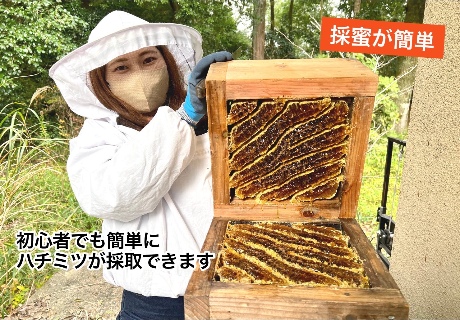 重箱式巣箱4段セット