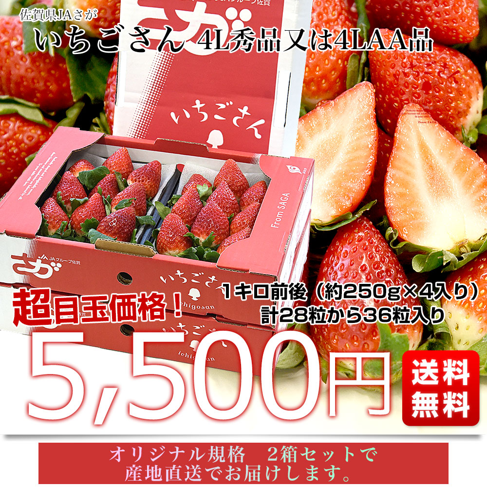 佐賀県より産地直送 JAさが いちごさん 大粒 4L秀品又は4LAA品 1キロ