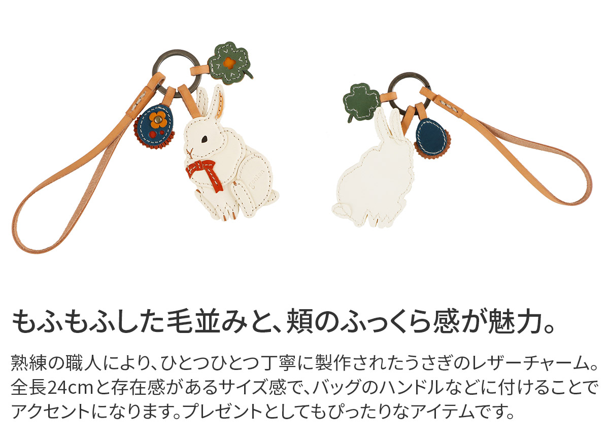 genten（ゲンテン） 3年保証＋ケアセット付 WAKU WAKU Charm ワクワク