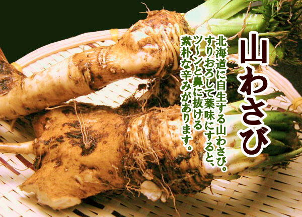 山ワサビすりおろし（冷凍 80g）×2個 北海道産 山わさび : 旬をお