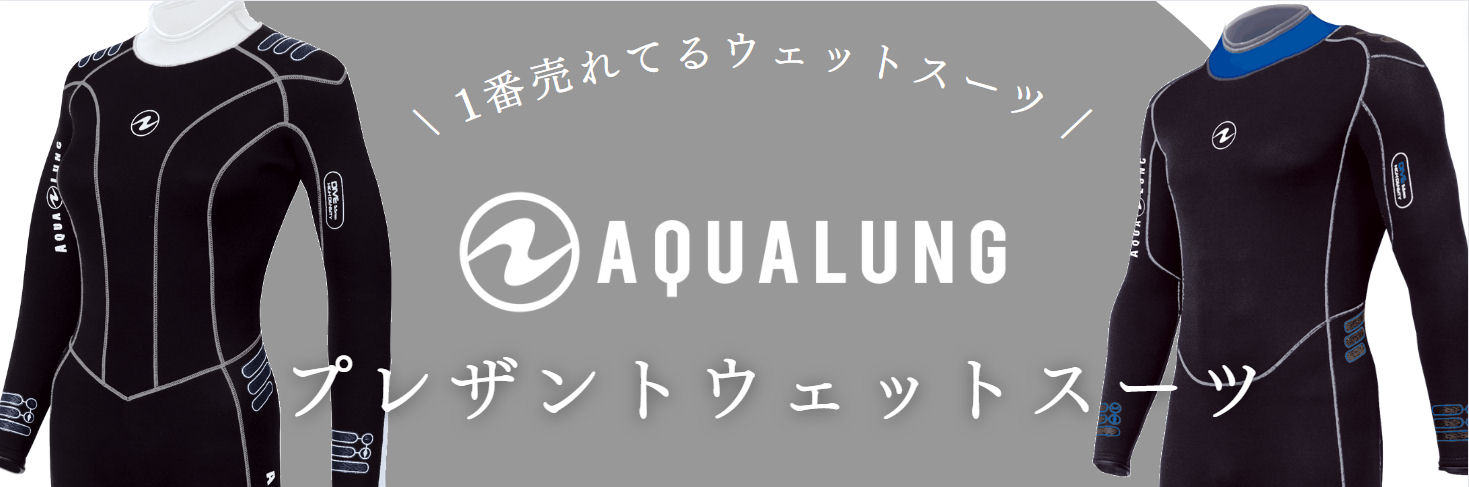 GULL（ガル） 3月末入荷予定【送料無料】 GW-6686/6690 B.E.3mm スキン