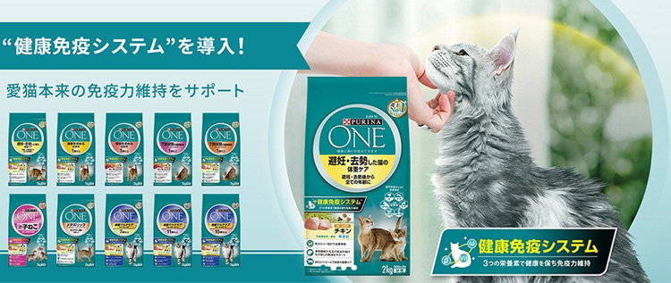 ピュリナワンキャット 美味求める成猫1歳以上サーモンツナ ( 2kg(500g