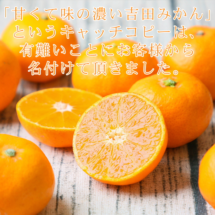 フレッシュ つちやま - 吉田みかん｜Yahoo!ショッピング