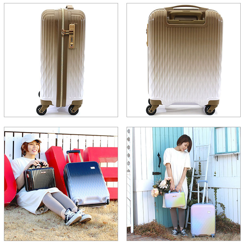 Siffler（シフレ） 送料無料 正規品 スーツケース 機内持ち込み