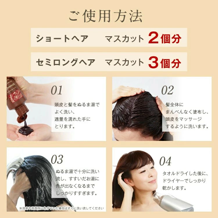 HAIR BEAUTE ECLAT 白髪染め シャンプー カラーシャンプー クリーム