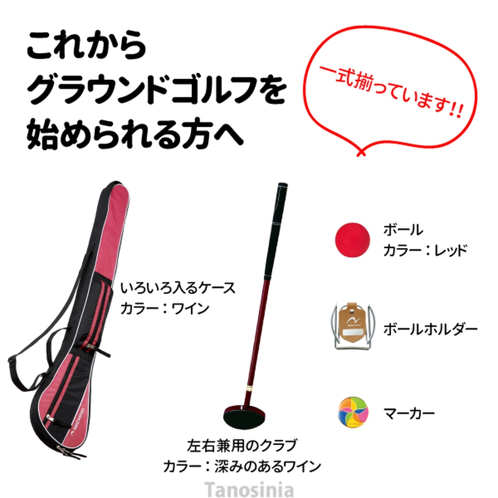 ニチヨー（NICHIYO） グラウンドゴルフクラブ セット レディース用 G