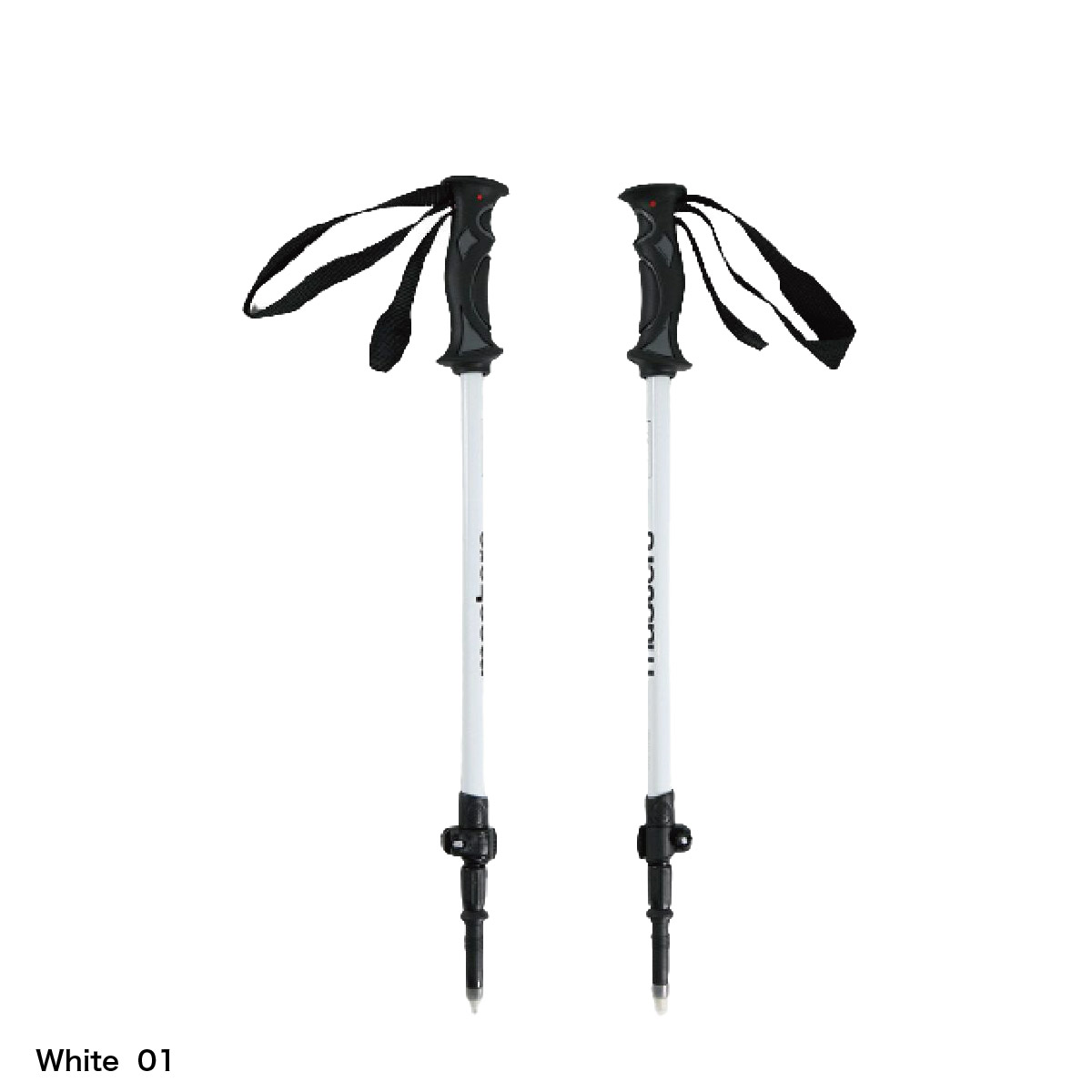 5日限定！全品P10倍！】MASTERS マスターズ スキー ポール ストック