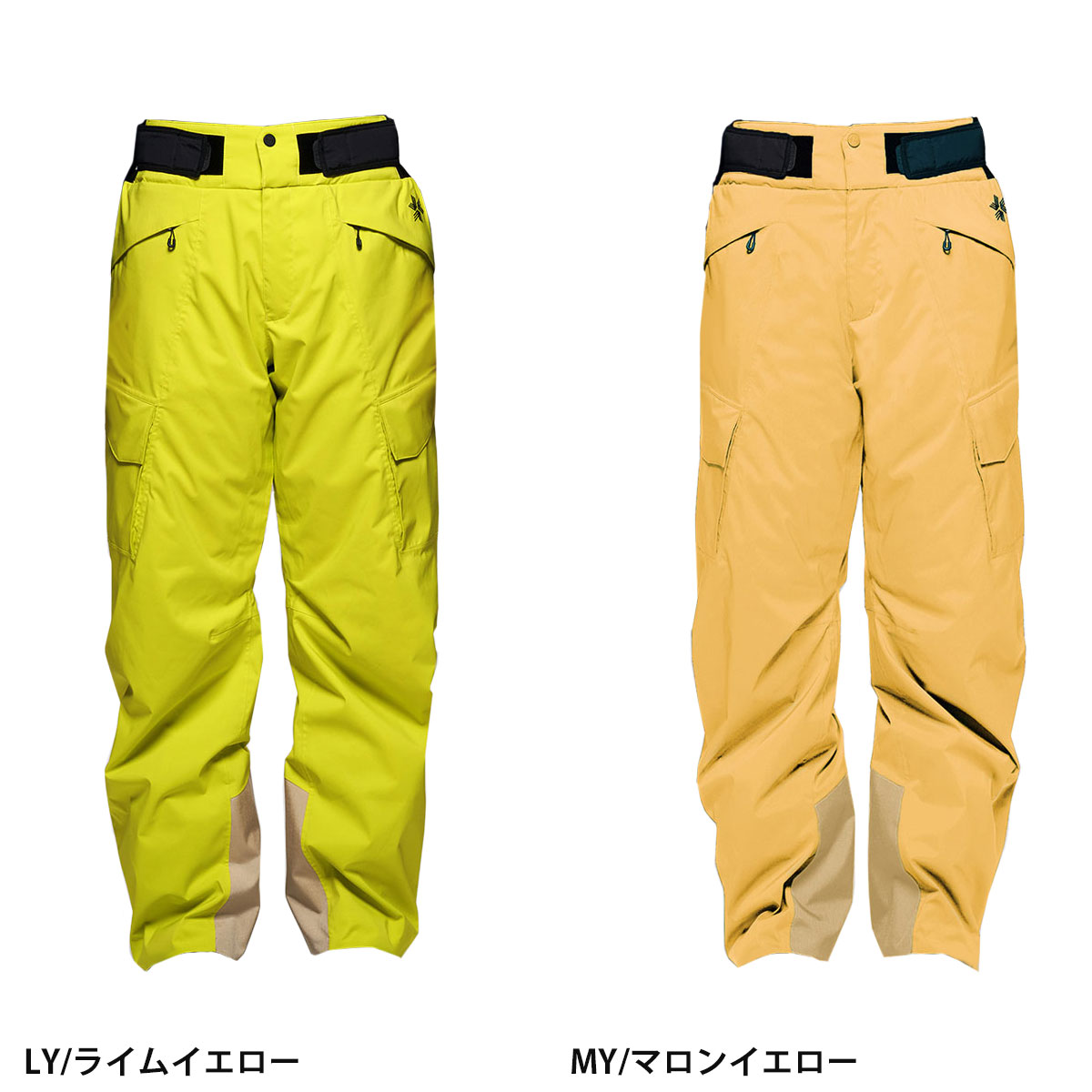 GOLDWIN（ゴールドウイン） スキーウェア スキーパンツ パンツ メンズ