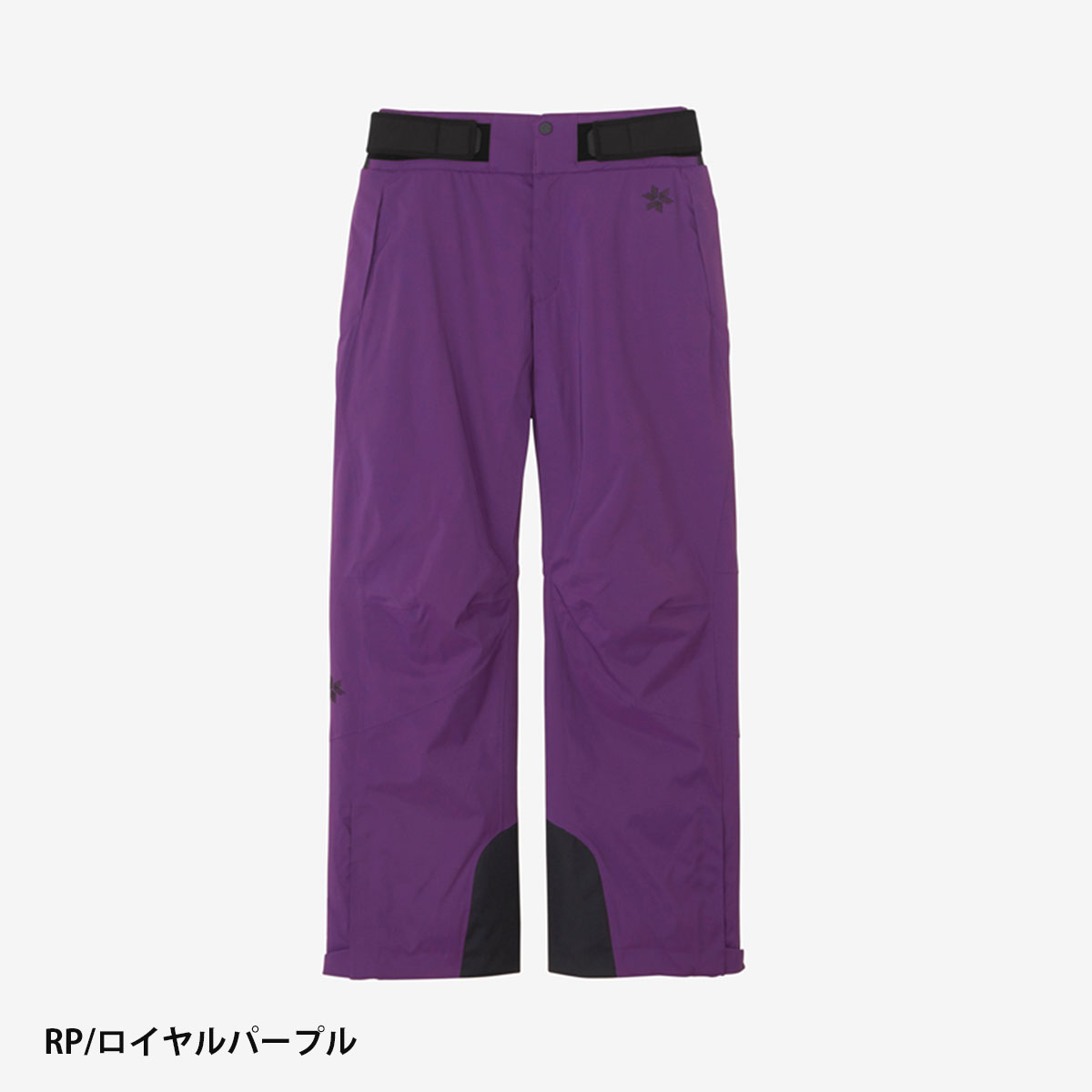 GOLDWIN（ゴールドウイン） スキーウェア スキーパンツ パンツ メンズ